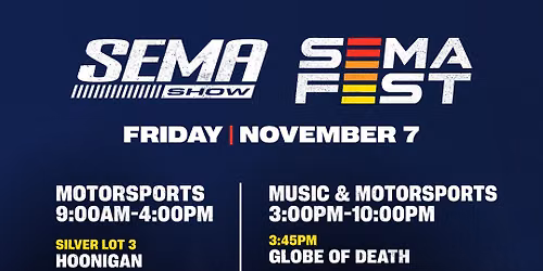 The Friday Show