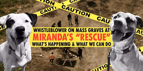Whistleblower on Mass Graves at Miranda\u2019s \u201cRescue\u201d - What\u2019s Happening & Wha