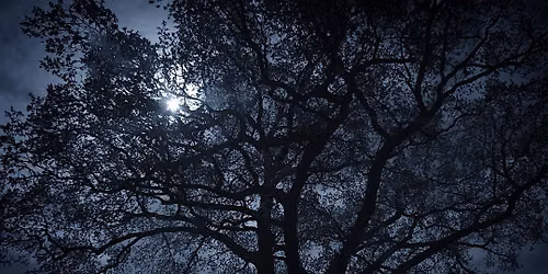 NWT Sweet Briar Marshes - Winter stargazing (Adult event 10 Nov)