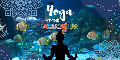Yoga at the Aquarium\ud83e\uddd8\ud83d\udc20