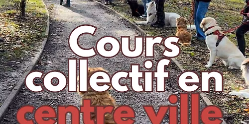 Cours collectif adultes en centre-ville (LLN)