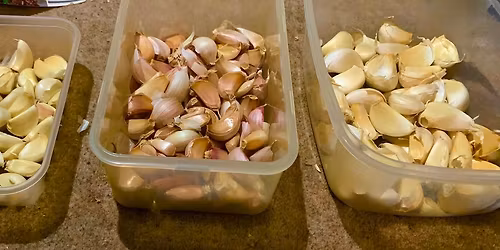 The supermarket garlic challenge