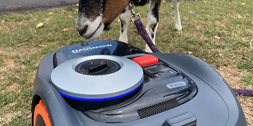 MowBot @ Kumeu Show 2026