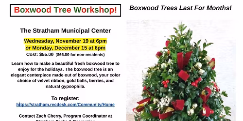 Boxwood Tree Workshop