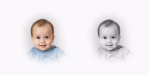 Heirloom Portrait Day