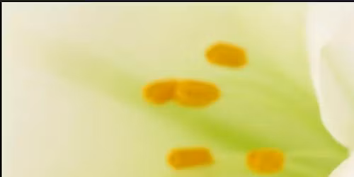 Easter Songs and Snacks