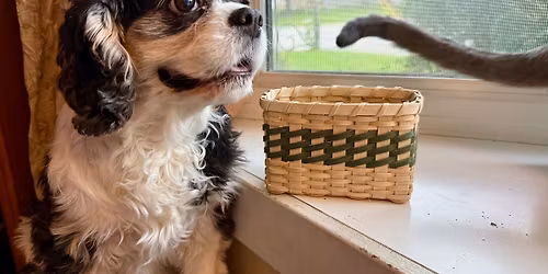 Rectangle Basket