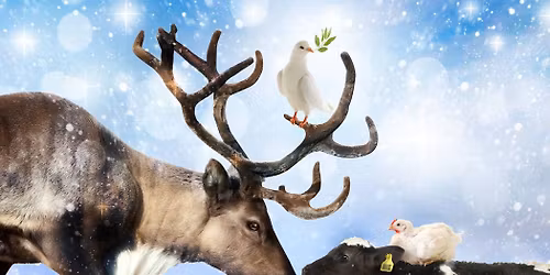 12e Vredesdienst voor dieren