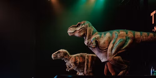 Teach Rex Live