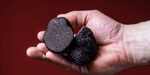 Frenchies Truffle Dinner - July