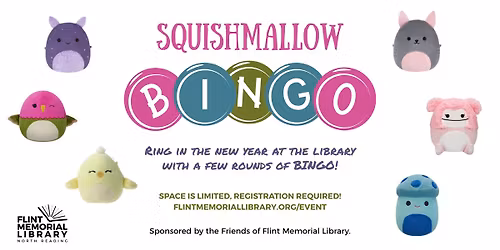 EVENT FULL: Squishmallow Bingo (For Grades 1-2)