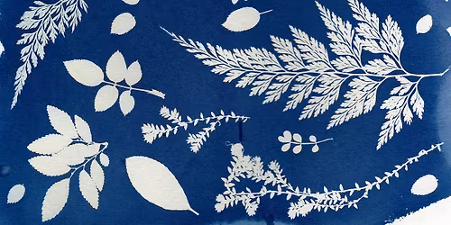 Cyanotype Tote Bag Workshop with Mona Whitton - 3 sessions