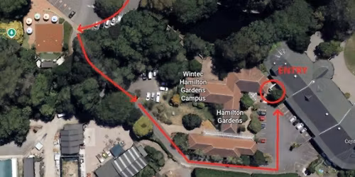 Waikato Rose Society October Meeting: Rose Exhibiting Fundamentals