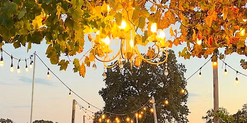 Dinner in the Vines at Rancho Roble