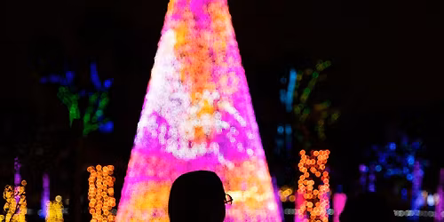 ZooLights