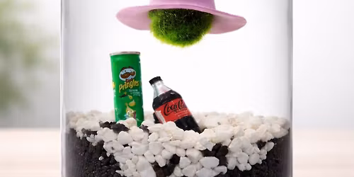 Marimo Moss Ball Pet Workshop