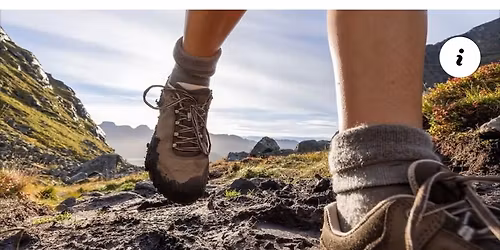 Day Hike At John Starkey Wilderness Park 