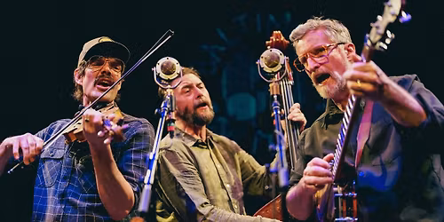 The Lonesome Ace Stringband