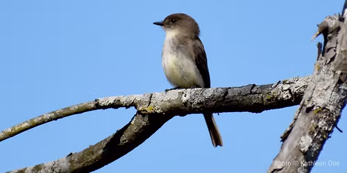 Field Trip: Look Park