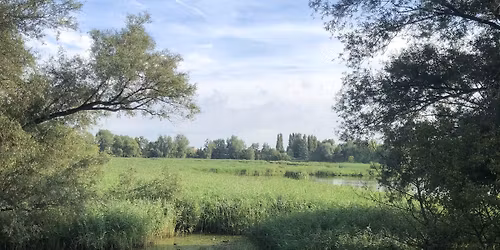 Maandwandeling: Het Molsbroek, de groene long van Lokeren