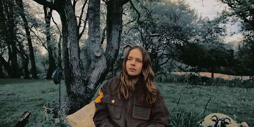 The Forest City String Band