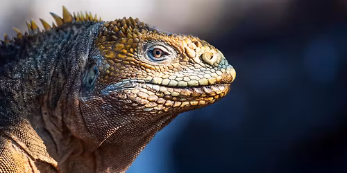 National Geographic Live: Discovering the Galapagos