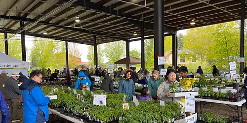 Gardenfest Plant Sale