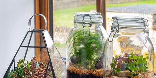 Terrarium Workshop