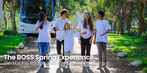 The BOSS Spring Experience