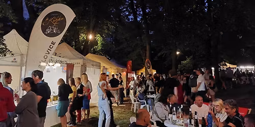 Letn\u00ed vinn\u00fd festival v Bezru\u010dov\u00fdch sadech - Olomouc 