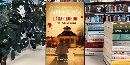 Lesi\u00f0 \u00e1 milli l\u00ednanna