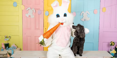 Easter Bunny Photos!