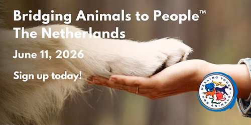 Bridging Animals to People\u2122 in The Netherlands