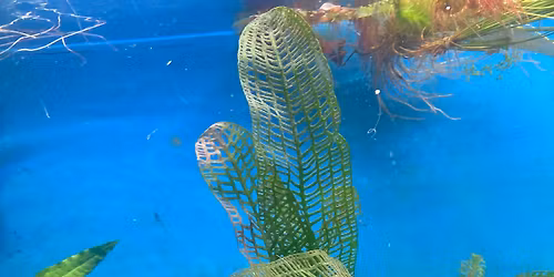 Thursday Art Days at Hagg\u2019s Life!