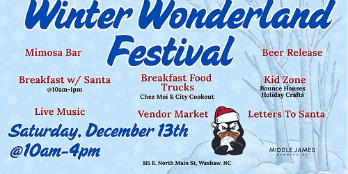 Winter Wonderland Festival in Waxhaw! 