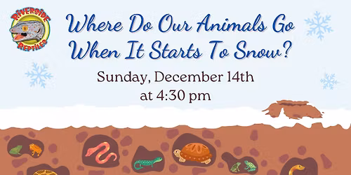 Where Do Our Animals Go When It Starts To Snow? 