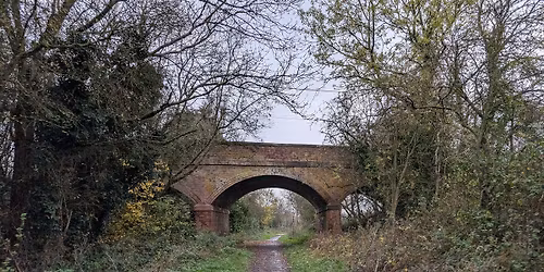 The National Forest Explorer 2025