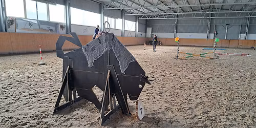 Tr\u00e9nink p\u0159ek\u00e1\u017eek Working Equitation - Trnov\u00e1 u Prahy - ned\u011ble 2. listopadu 2025