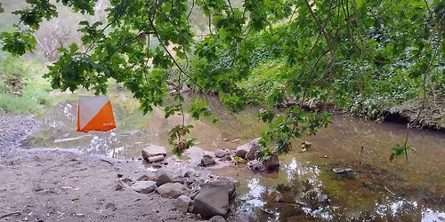 Summer Series #2 - Mt Pleasant & Redan