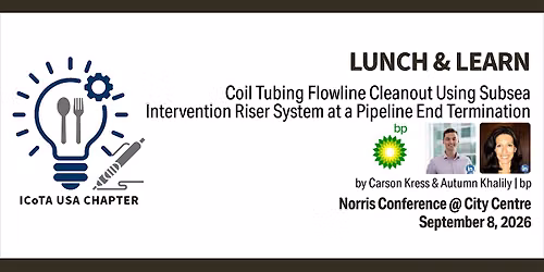 ICOTA USA Lunch & Learn with bp