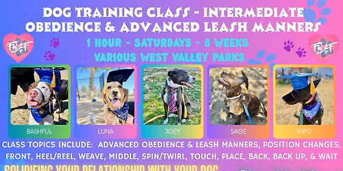 Dog Training Intermediate Obedience & Leash Manners Group Class \u2013 8 Weeks - $350