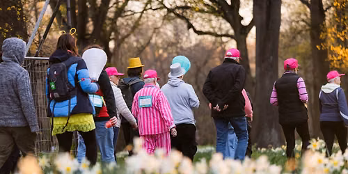 Shine for a Cure | Christchurch