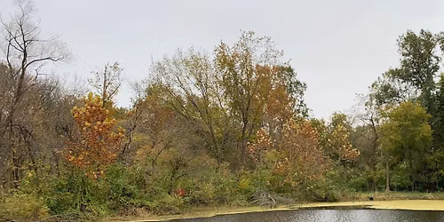 Field Trip: Stocksdale Park, Liberty MO