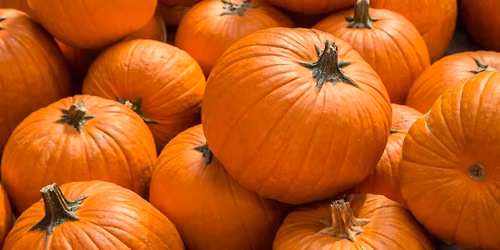 Pumpkin Etching Workshop