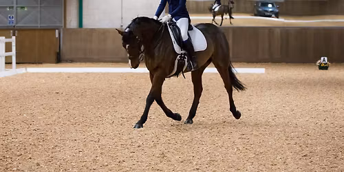 Evening Unaffiliated Dressage