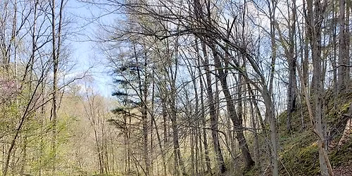 Zoning board meeting 