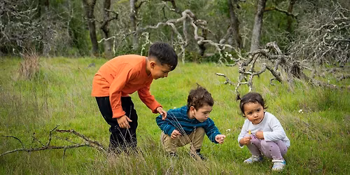 Familias al Aire Libre: Primavera en el monte Pole