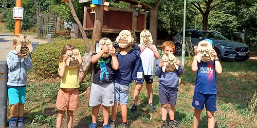 Zomerkamp \u201cNatuurkriebels\u201d (2de kleuter t.e.m. 2de leerjaar) \ud83d\udc1e\ud83d\udc3f\ufe0f