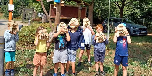 Zomerkamp \u201cNatuurkriebels\u201d (2de kleuter t.e.m. 2de leerjaar) \ud83d\udc1e\ud83d\udc3f\ufe0f