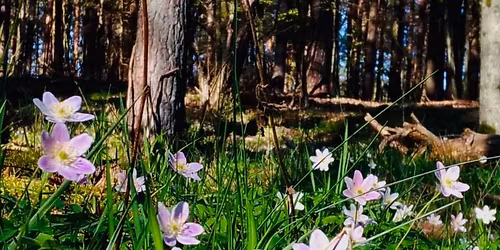 Gotowo\u015b\u0107 na trudy  BIO PSYCHO SPO\u0141ECZNE w leczeniu traumy